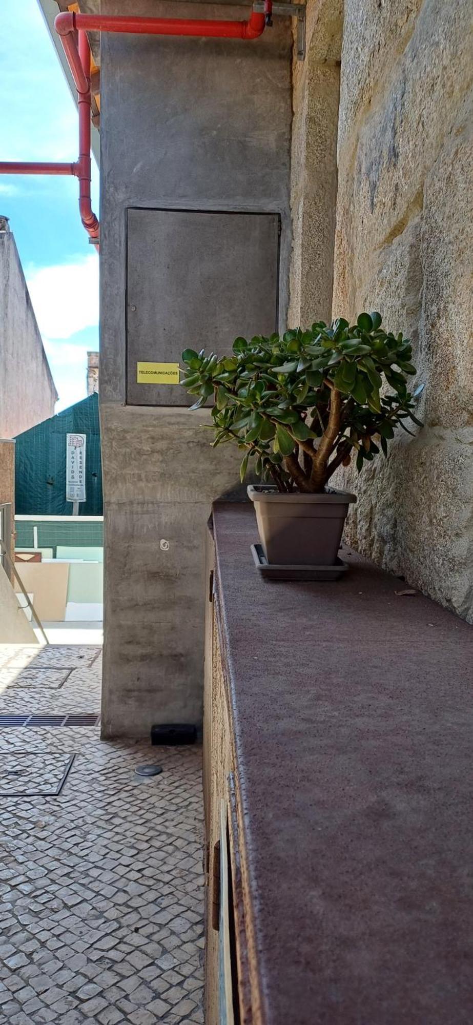 Typical Loft Oporto Downtown Porto Exterior foto